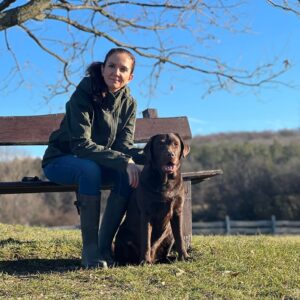 Labrador tenyésztő, labrador kennel