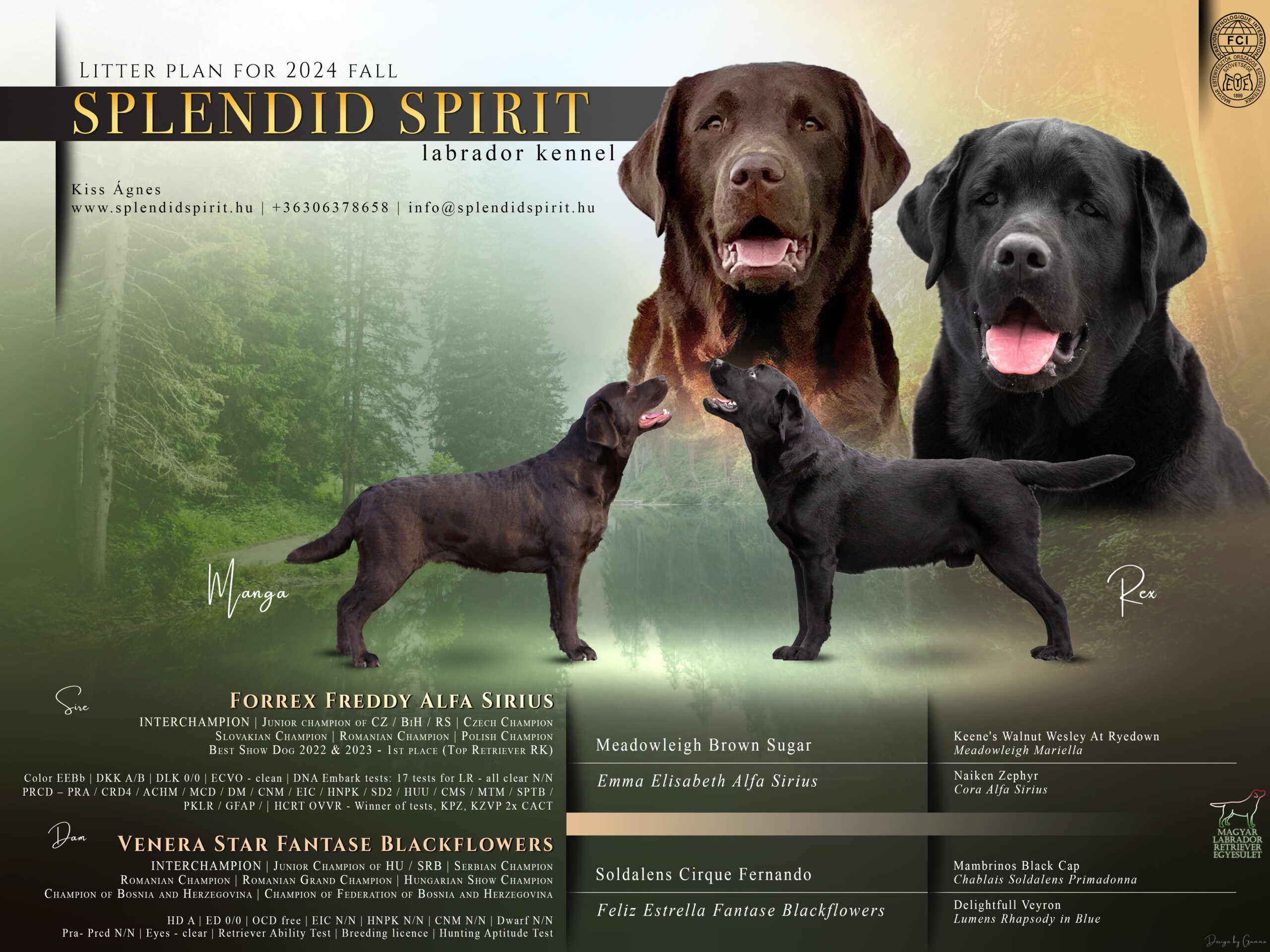 Splend Spirit Adventure alom - Splendid Spirit